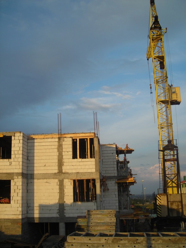 3 sierpnia 2006 nr 5